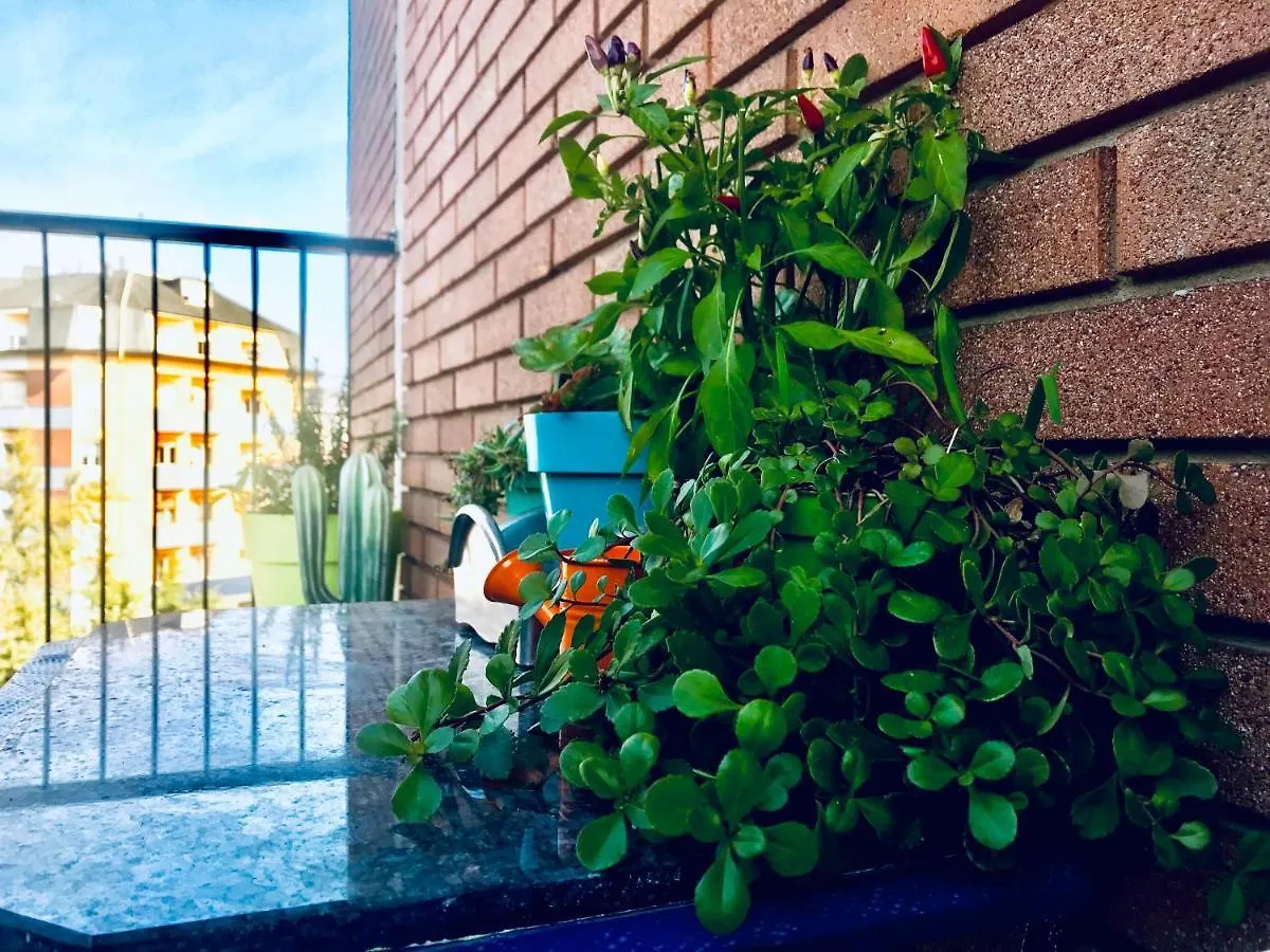 דירה Peony Apartment, Bi-Locale A Due Passi Dal Centro Di מודנה איטליה